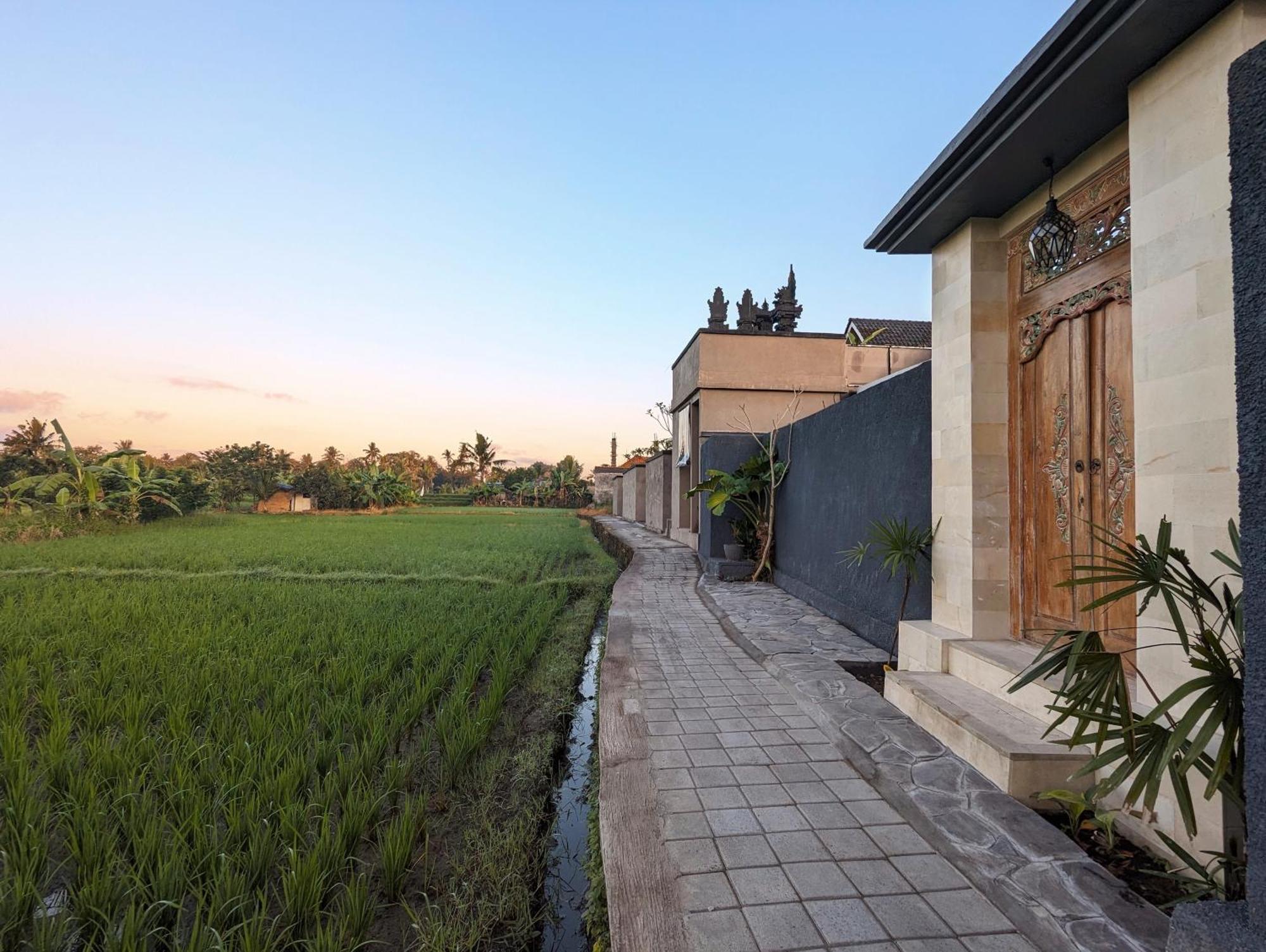 Villa Na-Na Ubud エクステリア 写真